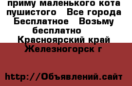 приму маленького кота пушистого - Все города Бесплатное » Возьму бесплатно   . Красноярский край,Железногорск г.